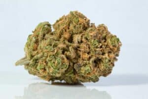 Blue Dream wiet kopen